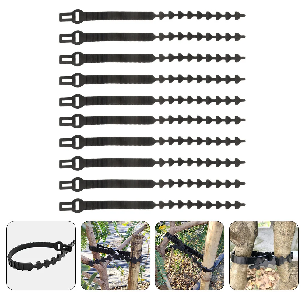 10 Pcs Tree Straps Supports Binding Chain Lock Tie Branch Belt Garden Accessory Outdoor Ties
10 Pcs Tree Straps Supports Binding Chain Lock Tie Branch Belt Garden Accessory Outdoor Ties