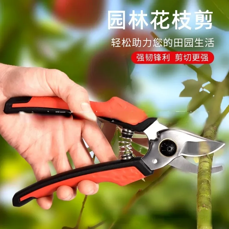 Pruning Shears Rough Pruning Fruit Trees Horticulture Stainless Steel Bonsai Scissors Multi-functional Garden Pruning Wholesale
Pruning Shears Rough Pruning Fruit Trees Horticulture Stainless Steel Bonsai Scissors Multi-functional Garden Pruning Wholesale