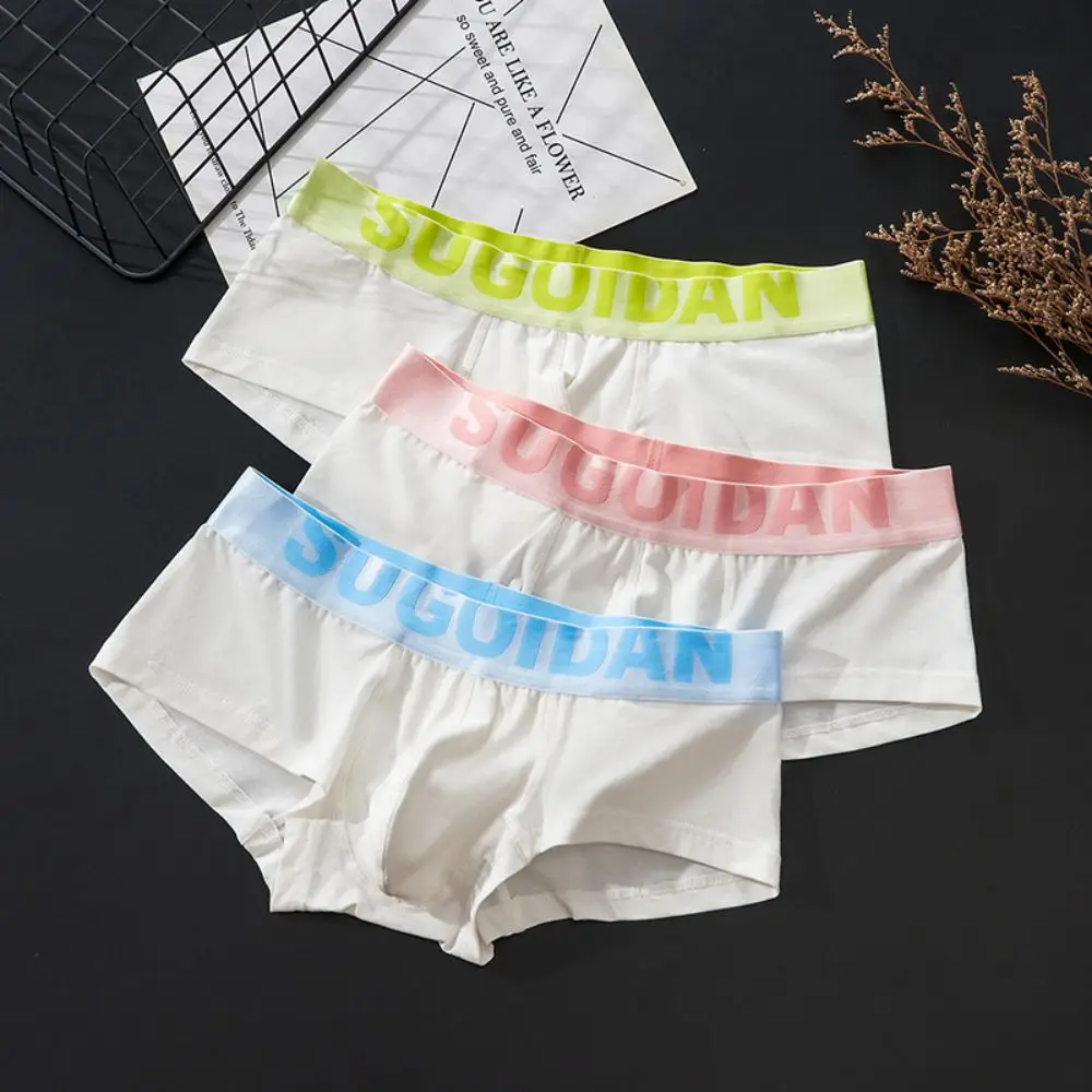 Men's Low Waist Underwear Boxer Shorts Sexy U-convex Pure Cotton Flat Corner Pants Slim Fit Sports Breathable Quadrangle Pants
Men's Low Waist Underwear Boxer Shorts Sexy U-convex Pure Cotton Flat Corner Pants Slim Fit Sports Breathable Quadrangle Pants