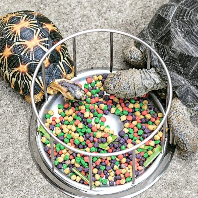 

304 Stainless Steel Tortoise Turtle Feeder Pet Supply Semi-Water Food Dispenser Bowl Feeding Tool Reptile Basin Home Water Dish