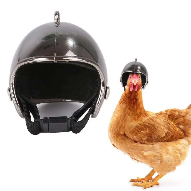 

HOT Pet Chicken Bird Helmet Small Pet Hard Hat Hat Headgear Pet Helmets Toy Bird Protect ABS Hats Accessories Pet Supplies