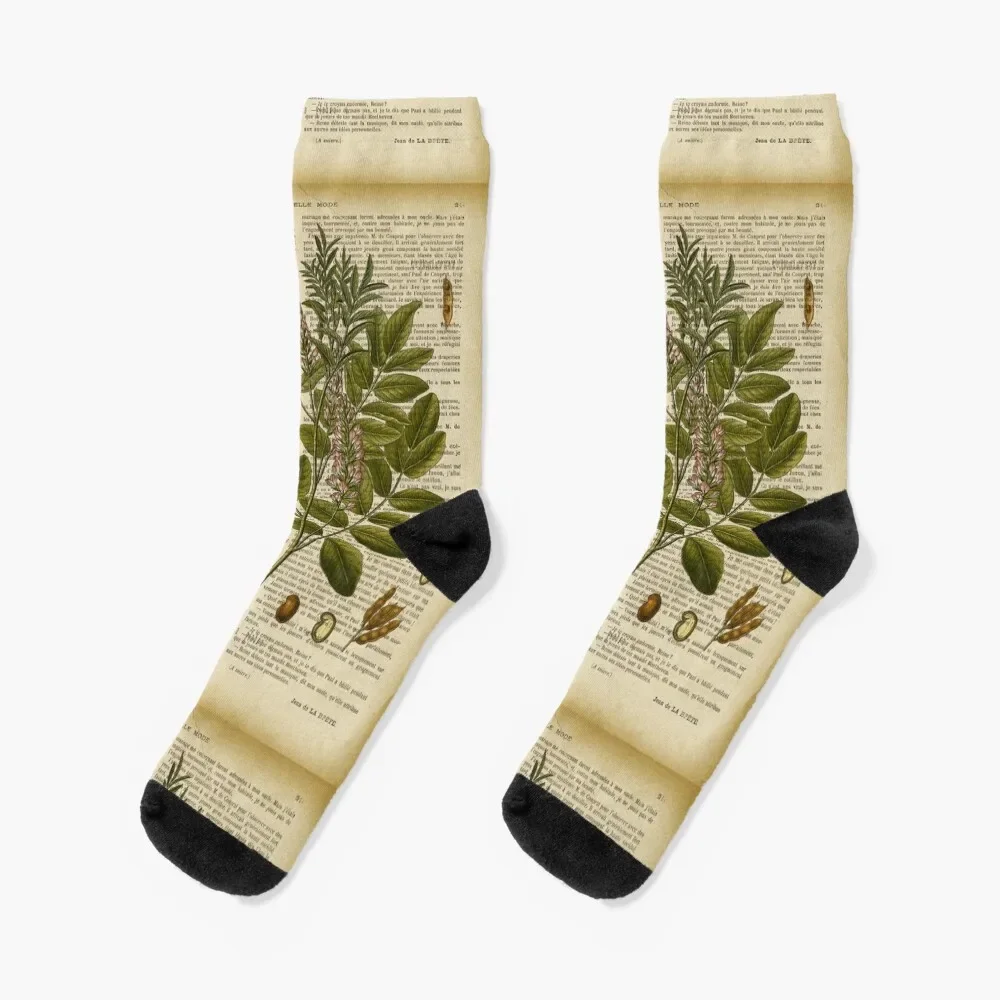 Botanical print, on old book page - licorice Socks funny sock Running compression Men's Socks Luxury Women's
Botanical print, on old book page - licorice Socks funny sock Running compression Men's Socks Luxury Women's