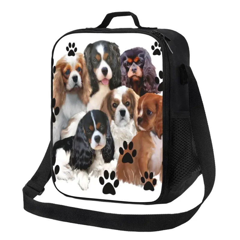 

Cavalier King Charles Spaniel Family Group Portable Lunch Boxes Women Leakproof Dog Cooler Thermal Food Insulated Lunch Bag