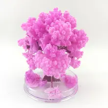 1PCS 2022 90x80mm Magically Paper Sakura Crystal Trees Magic Growing Tree Japan Desktop Cherry Blossom Science Toys Educational
1PCS 2022 90x80mm Magically Paper Sakura Crystal Trees Magic Growing Tree Japan Desktop Cherry Blossom Science Toys Educational