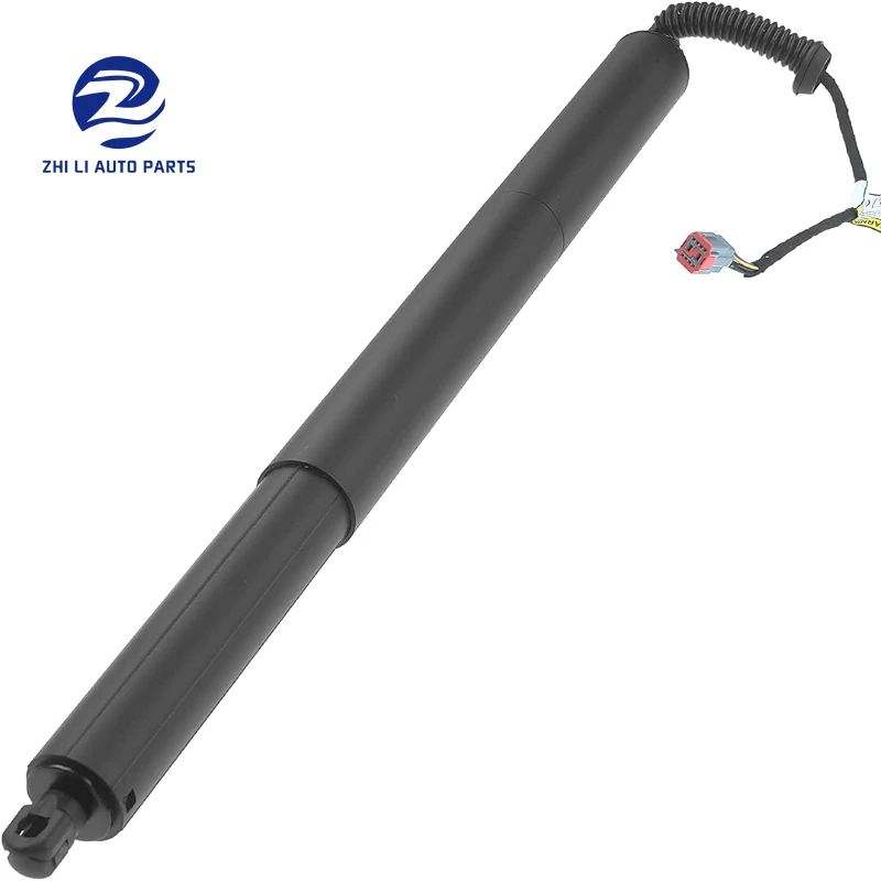 FT4Z14B351A Left Rear Door Shock Absorber Structure with Power Opener For 2015-2018 Ford Edge
FT4Z14B351A Left Rear Door Shock Absorber Structure with Power Opener For 2015-2018 Ford Edge