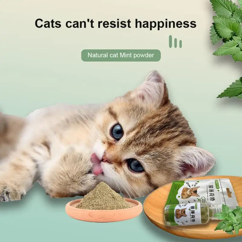 5/6/10g Cat Mint Powders Natural Catnip Leaf Bottles Promote Digestion Cleaning Teeth Cat Snacks Pet Supplies Cats Accessories
5/6/10g Cat Mint Powders Natural Catnip Leaf Bottles Promote Digestion Cleaning Teeth Cat Snacks Pet Supplies Cats Accessories