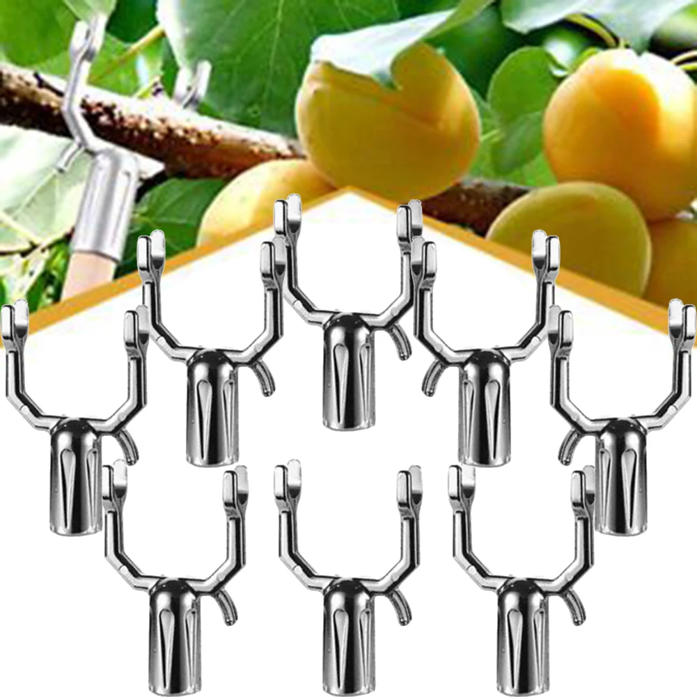8 Pcs Fruit Tree Branch Support Crutch Plant Branch Support Aluminium Alloy Metal Stand For Supporting Fruit Tree Branches
8 Pcs Fruit Tree Branch Support Crutch Plant Branch Support Aluminium Alloy Metal Stand For Supporting Fruit Tree Branches
