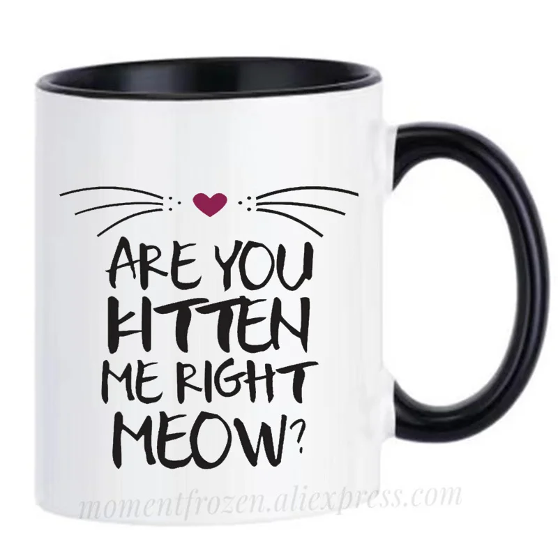 

Are You Kitten ( Kidding ) Me Right Meow (Now) Cat Mugs Tea Milk Cocoa Coffee Cups Drinkware Coffeeware Home Decal Friend Gifts