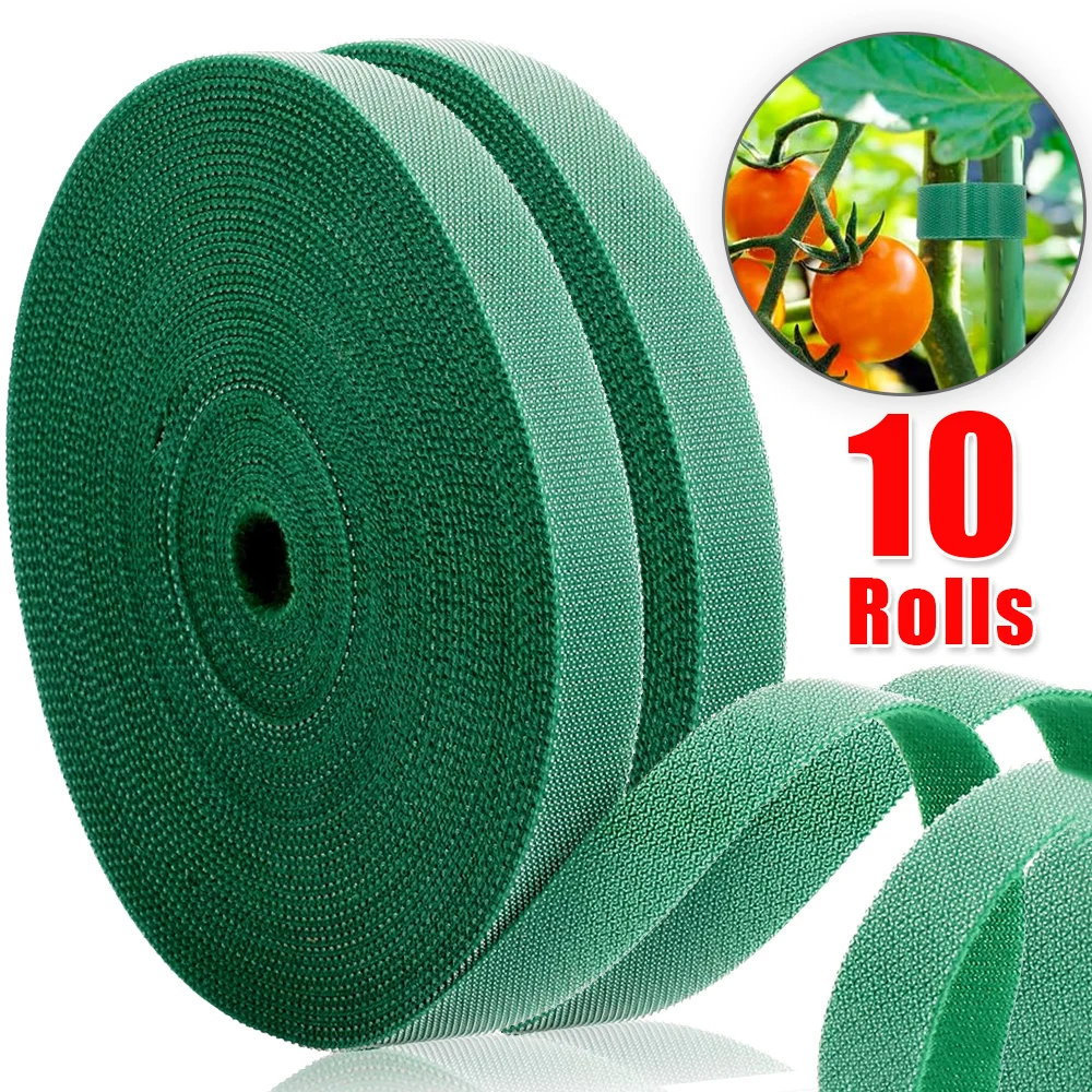 10/1Rolls Reusable Cable Ties Self Adhesive Plant Ties Fastener Tape Double Side Hook And Loop Organizer Straps Garden Supplies
10/1Rolls Reusable Cable Ties Self Adhesive Plant Ties Fastener Tape Double Side Hook And Loop Organizer Straps Garden Supplies