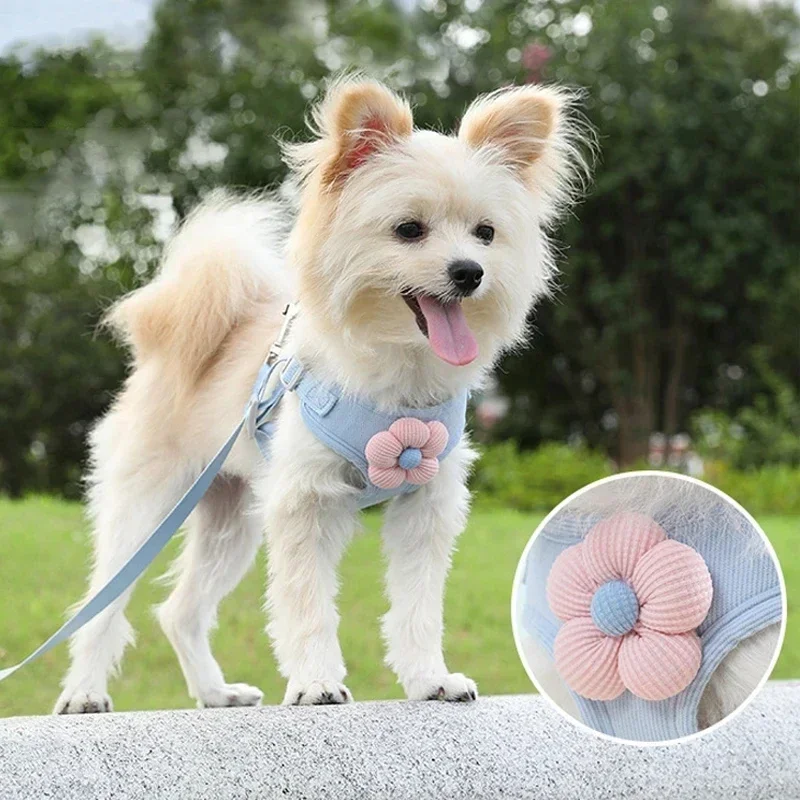 Dog Harness with 1.2m Leash Set Adjustable Pet Harness For Puppy Cats French Bulldog Chihuahua Outdoor Walking Lead Leash
Dog Harness with 1.2m Leash Set Adjustable Pet Harness For Puppy Cats French Bulldog Chihuahua Outdoor Walking Lead Leash