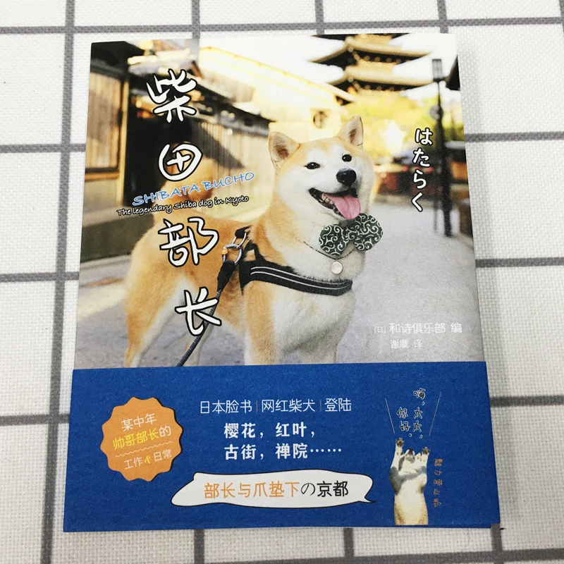 Надпись "Chai Tian Bu Zhang る Japanese Net Red Shiba Inu", официальная фотокнига, фотографии обычаев Киота с точки зрения собаки
Надпись "Chai Tian Bu Zhang る Japanese Net Red Shiba Inu", официальная фотокнига, фотографии обычаев Киота с точки зрения собаки