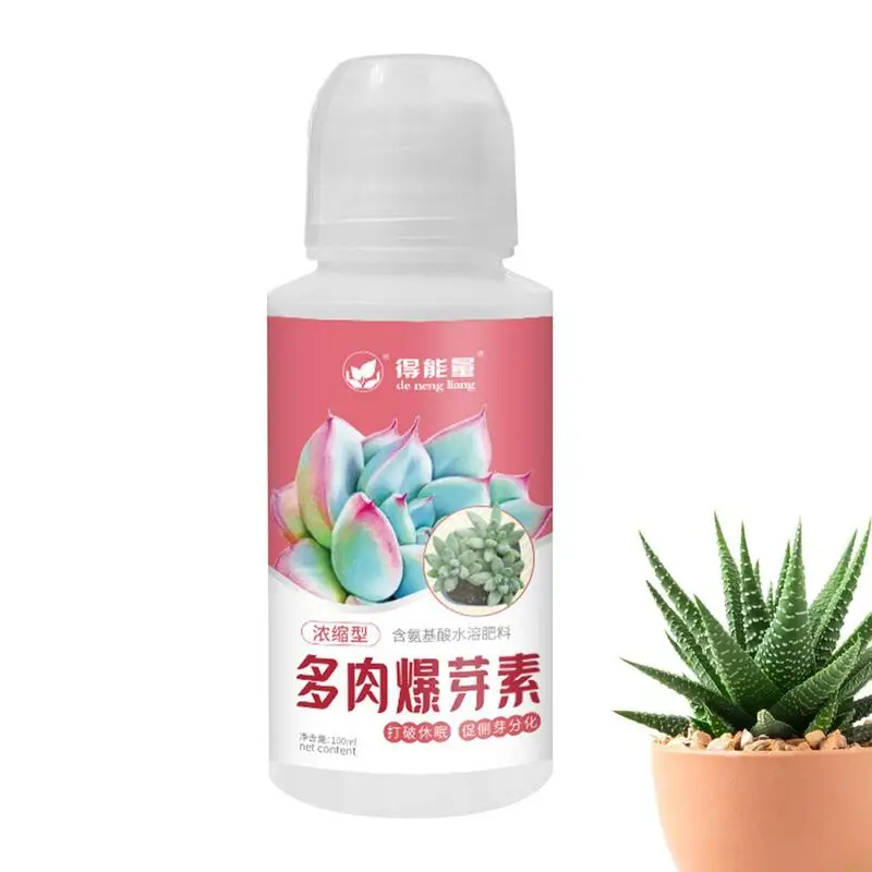 

Liquid Succulent Food Slow Release Succulent Growth Food Succulent Growth Concentrate Amino Acid Boost Bud For Growing And