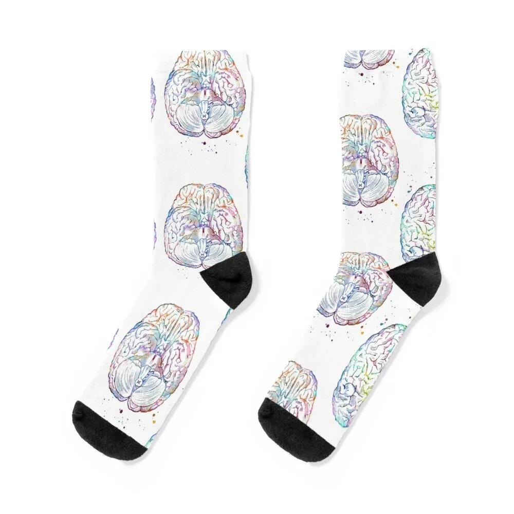 Brain Anatomy Superior and Inferior View Socks New year's floral Socks For Men Women's
Brain Anatomy Superior and Inferior View Socks New year's floral Socks For Men Women's