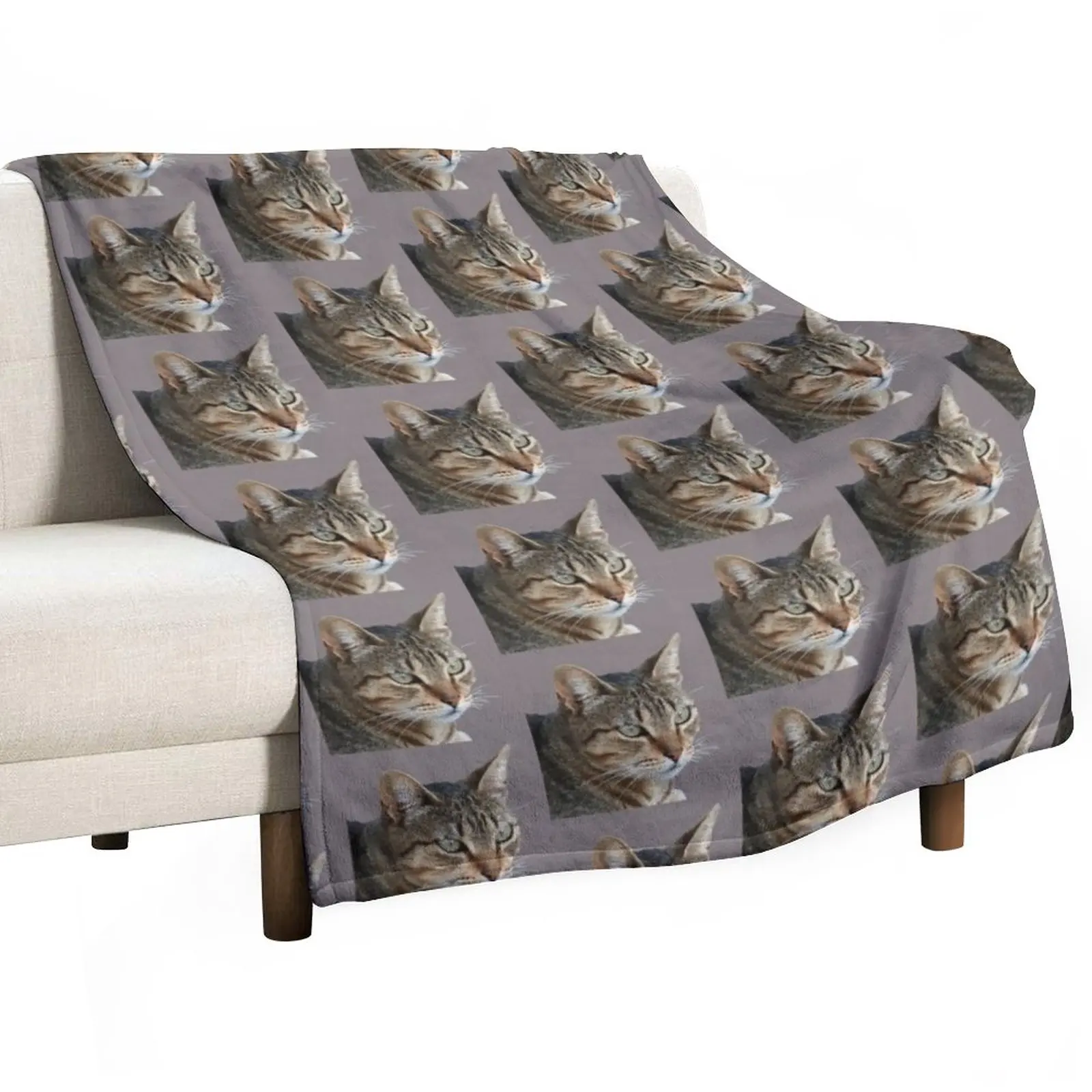 

Stunning Tabby Cat Close Up Portrait Vector Isolated Throw Blanket Soft Big Blanket Moving Blanket Soft Plaid