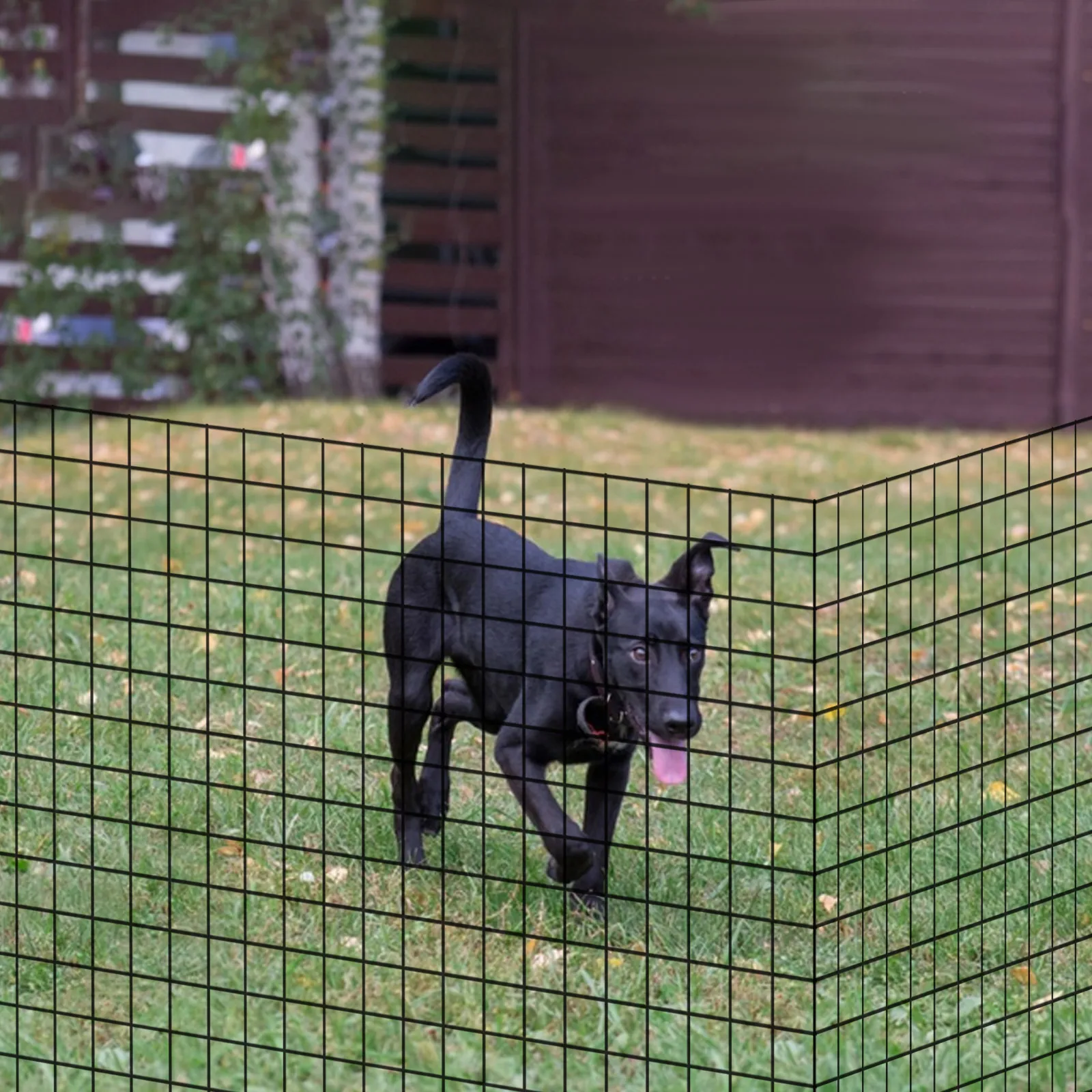 Garden Fence Hardware Cloth Fence with Gloves Mesh Cuttable Yard Fence for Home Improvement Project
Garden Fence Hardware Cloth Fence with Gloves Mesh Cuttable Yard Fence for Home Improvement Project
