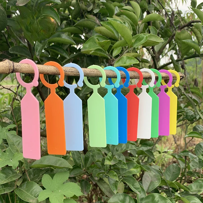 100Pcs Thick Plastic Plant Labels Garden Waterproof Plant Tree Tags Hanging Plant Markers for Plants Potted Nurseries Gardening
100Pcs Thick Plastic Plant Labels Garden Waterproof Plant Tree Tags Hanging Plant Markers for Plants Potted Nurseries Gardening