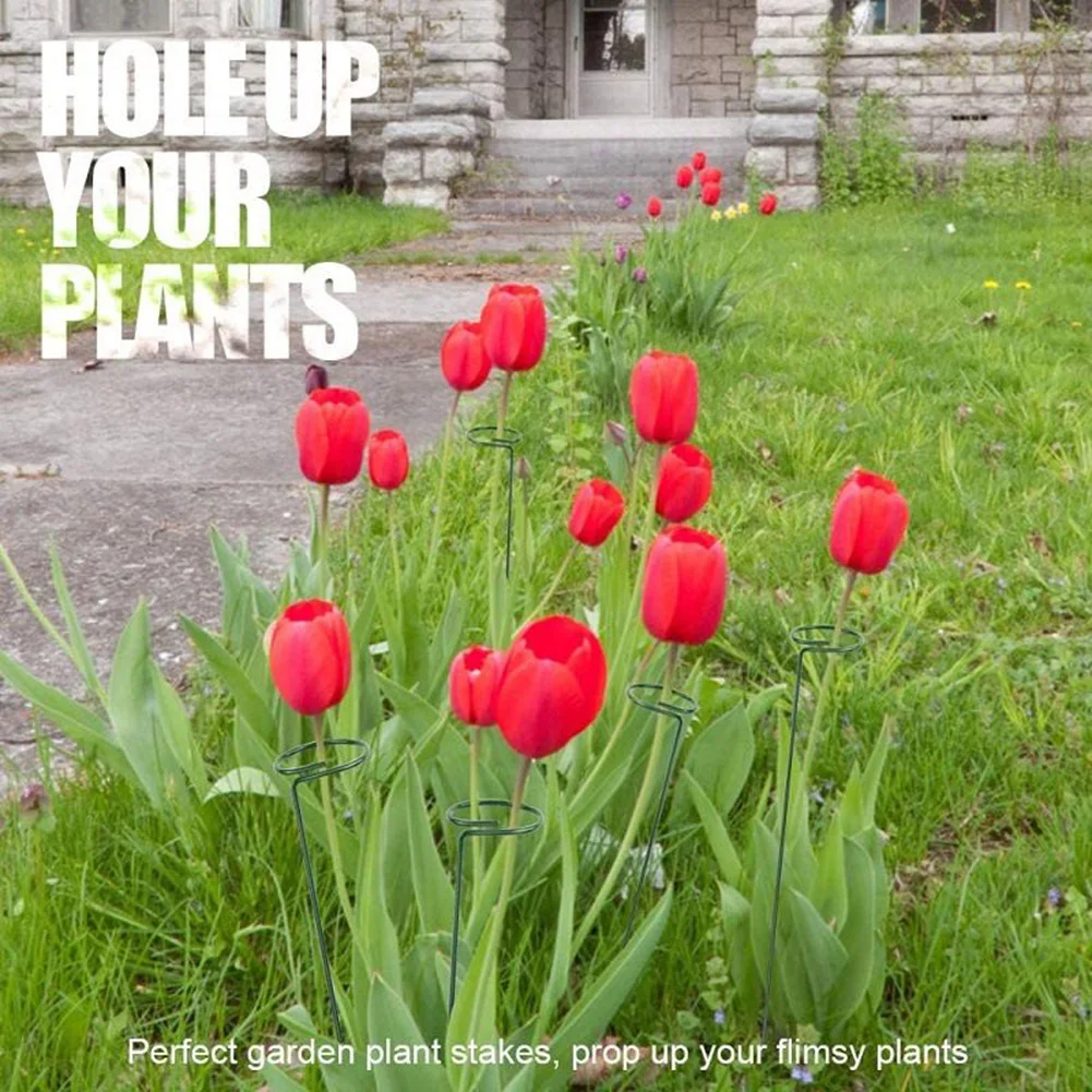 6pcs Plant Stakes For Flowers Single Stem Plant Support For Climbing Plant Garden Orchid Lily Peony Rose Flower Stem
6pcs Plant Stakes For Flowers Single Stem Plant Support For Climbing Plant Garden Orchid Lily Peony Rose Flower Stem