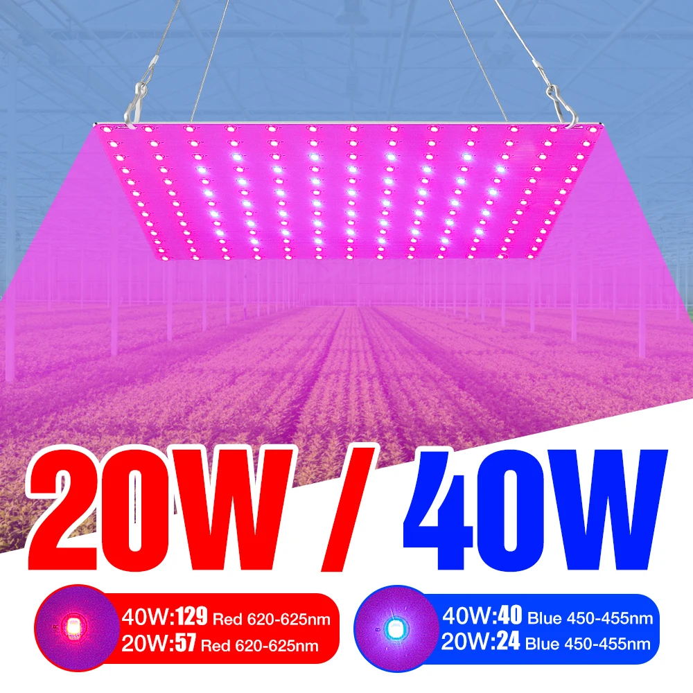 

220V Plant Bulb LED Grow Light Full Spectrum Quantum Board LED Lamp 20W 40W Indoor Hydroponic Lighting Flower Seed Planting Tent