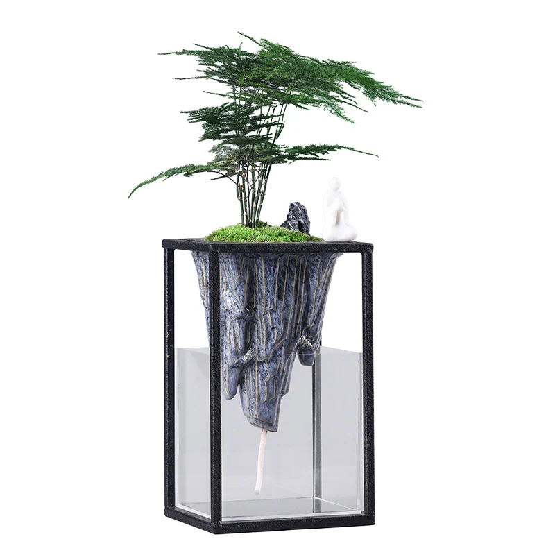 Yingke Pine Asparagus Fern Bonsai Indoor Fish Tank Bonsai Decoration Green Plant Landscape 
Yingke Pine Asparagus Fern Bonsai Indoor Fish Tank Bonsai Decoration Green Plant Landscape