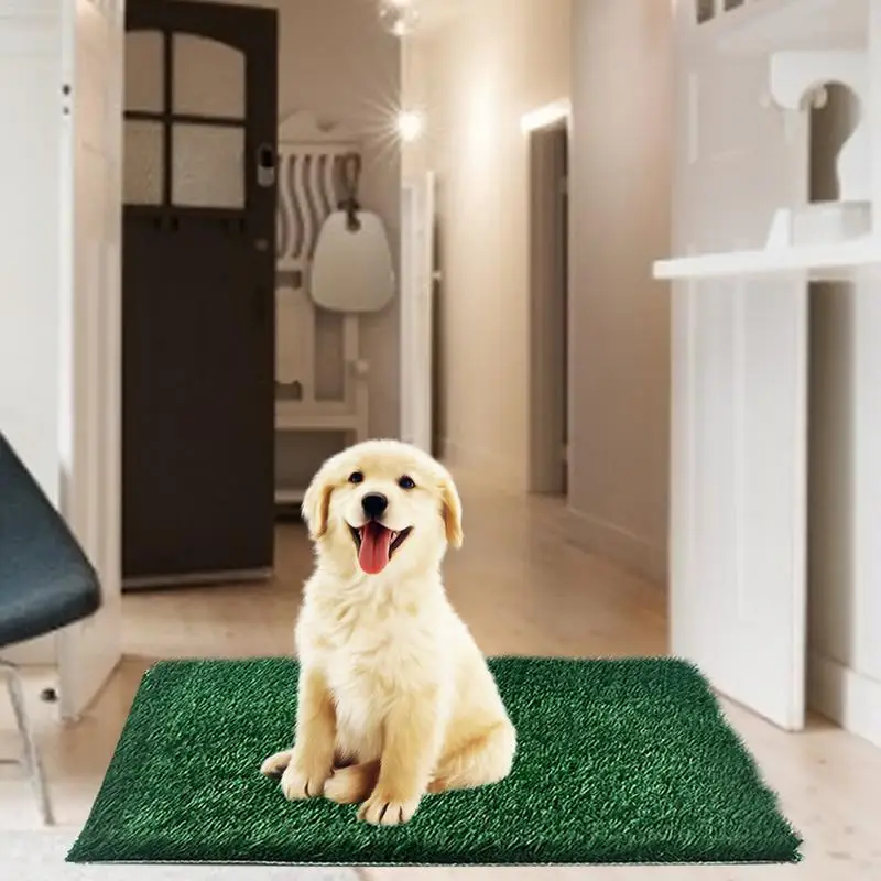

Puppy Grass Pee Pad Artificial Dog Grass Bathroom Turf 23.62 X 18.11 Inches Indoor Outdoor Fake Grass For Pets Potty Training