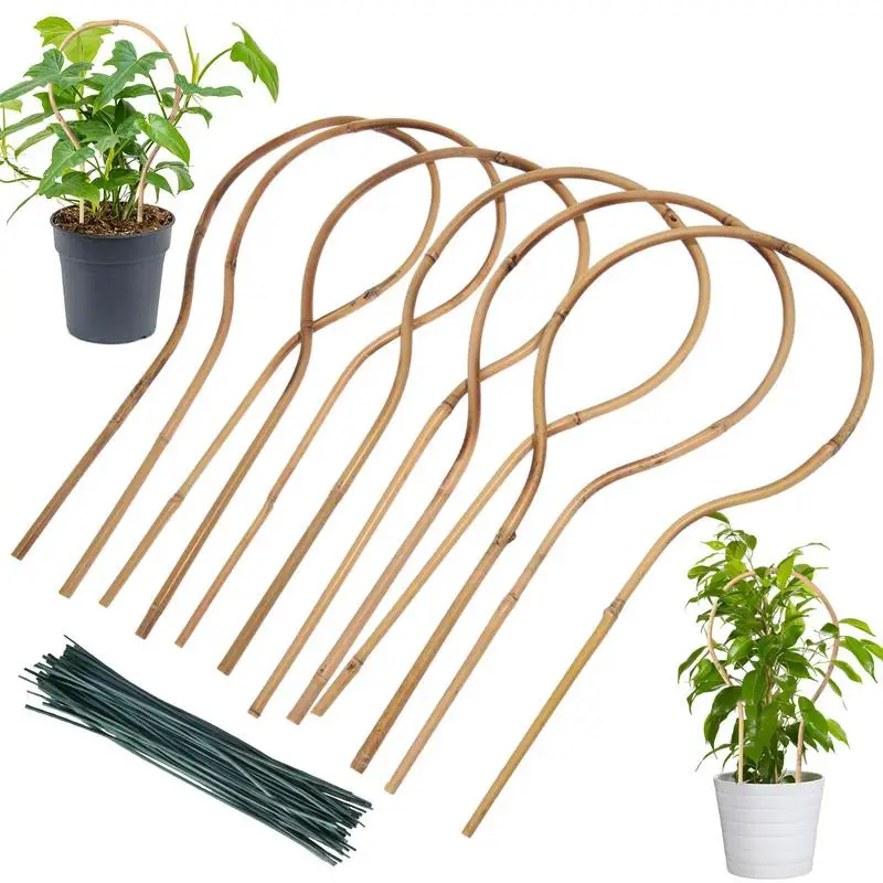 Plant Trellis Indoor Bamboo Trellis 6pcs Garden Trellis -shaped Houseplants Flowers Vine Ivy Support Stand Plants Ivy Plants
Plant Trellis Indoor Bamboo Trellis 6pcs Garden Trellis -shaped Houseplants Flowers Vine Ivy Support Stand Plants Ivy Plants