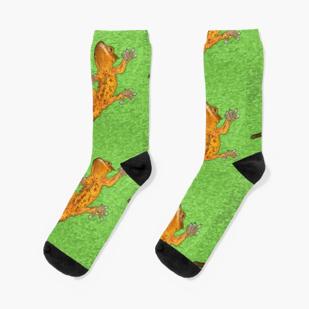 

Crested Gecko Socks Cycling Socks