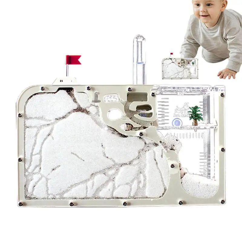 Ant Farm Castle Ant Habitat Science Learning Kit Ant Nest Farm For Live Ants Creative Ant Habitat Science Learning Kit For
Ant Farm Castle Ant Habitat Science Learning Kit Ant Nest Farm For Live Ants Creative Ant Habitat Science Learning Kit For