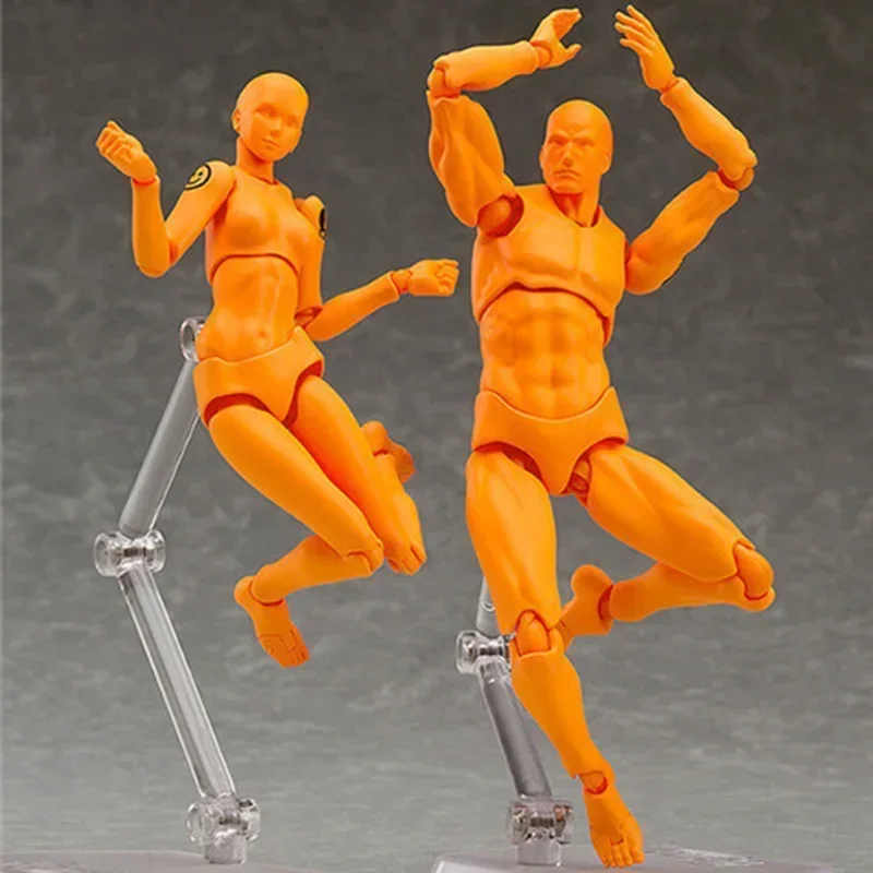 

Sketch Draw Body Kun Body Chan Action Figure Archetype He She Ferrite Collectible Model Toy With Stand Movable Joint Doll Gift