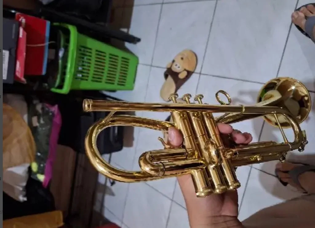 

High quality flugelhorn Bb B flat flugelhorn brass instrument with hard case, mouthpiece, cloth and gloves as same of the pictur
