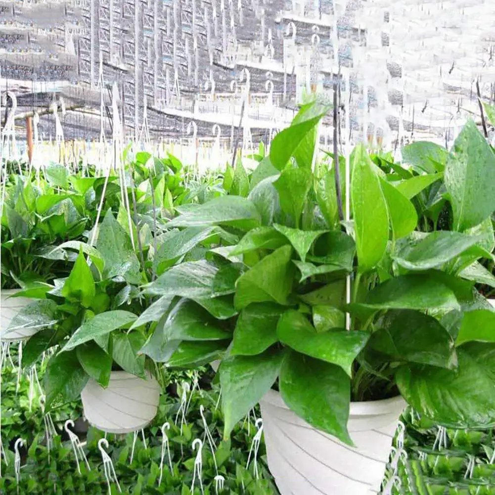 Hanging Pot Hanging Flower Pot Garden Decoration Hook Light Weight Small Hanging Plant Pots Office Shopping Mall New
Hanging Pot Hanging Flower Pot Garden Decoration Hook Light Weight Small Hanging Plant Pots Office Shopping Mall New