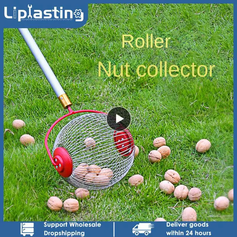 

Stainless Steel Chestnut Pickup Adjustable Ball Collector Fruit Collector New Nut Collector Fruit Picker Tools Walnut Pickup