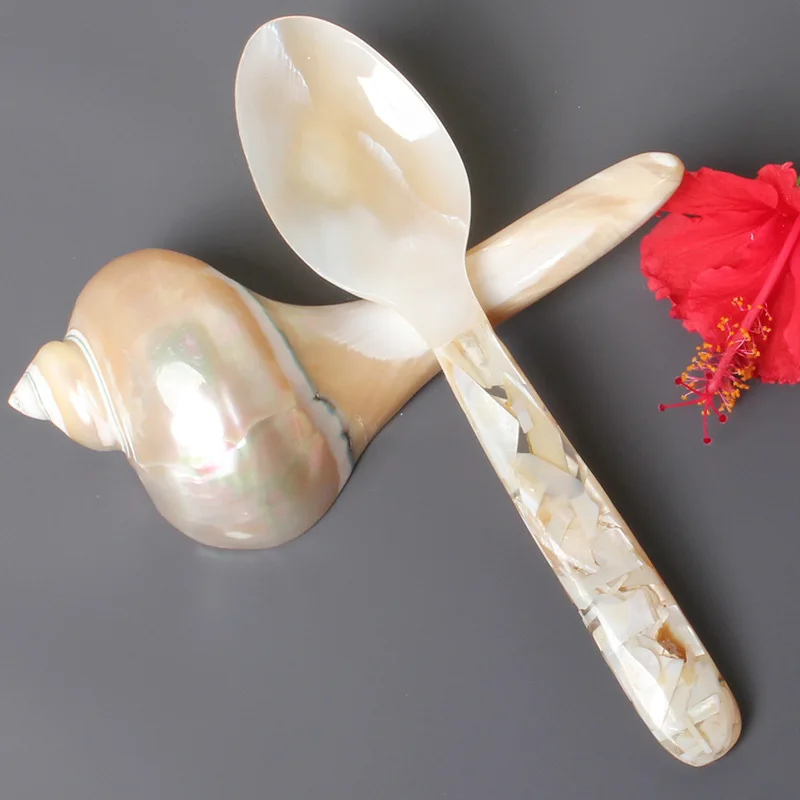 

16cm shell spoon factory wholesale caviar coffee stirring spoon dessert spoon natural conch shell spoon.