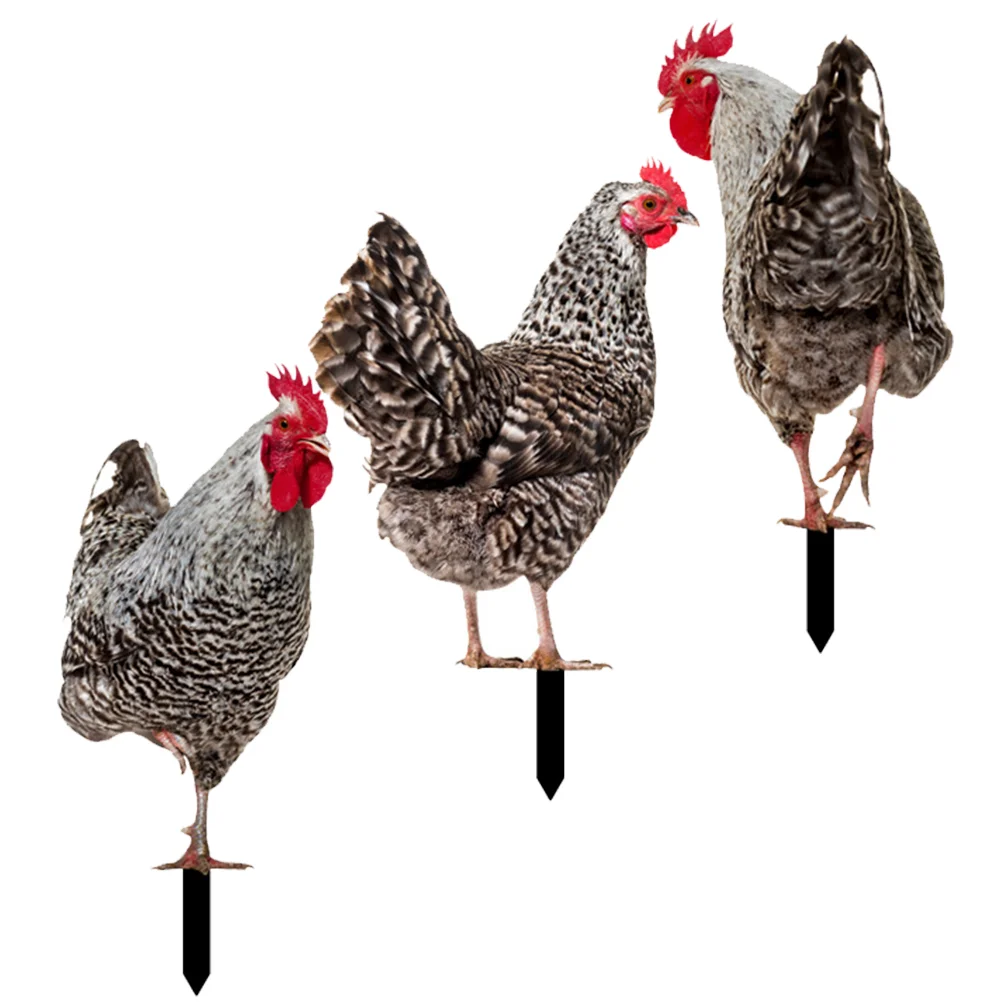 3Pcs Yard Acrylic Chicken Statues Decor Ground Inserted Chicken Decor Chicken Sign Outdoor Decoration
3Pcs Yard Acrylic Chicken Statues Decor Ground Inserted Chicken Decor Chicken Sign Outdoor Decoration