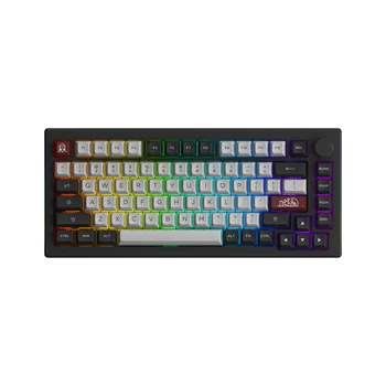 Akko 드라큘라 캐슬 기계식 게이밍 키보드, 75% 핫 스왑 가능 멀티 모드, RGB 2.4GHz 무선, USB C 타입, BT 5.0, 5075B Plus V2