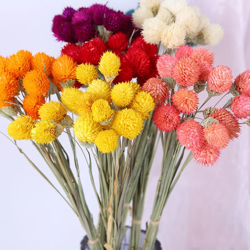 10Pcs Real Strawberry Fruit Dried Flower Natural Dried Flower DIY Bouquet for Wedding Party Decoration Home Decor Accessories
10Pcs Real Strawberry Fruit Dried Flower Natural Dried Flower DIY Bouquet for Wedding Party Decoration Home Decor Accessories