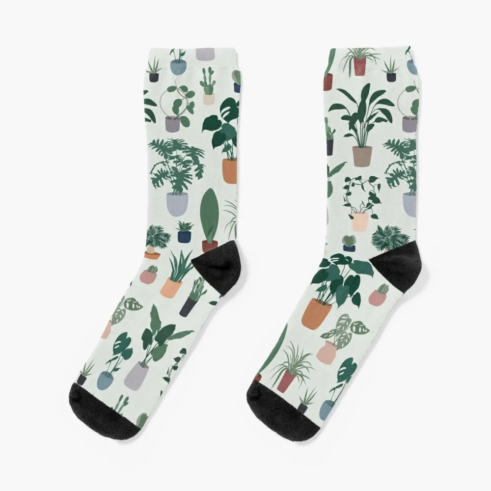 

Носки-термоноски мужские зимние с изображением комнатных растений