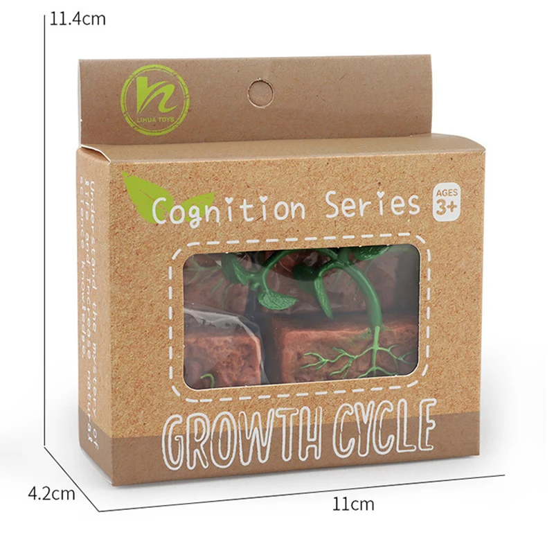 Tierlebenszyklus Kinderspielzeug Simulation Pflanzenmodell Montessori Lehrmittel Tierwachstumszyklus Modell Set Kognitives Spielzeug Tierlebenszyklus Kinderspielzeug Simulation Pflanzenmodell Montessori Lehrmittel Tierwachstumszyklus Modell Set Kognitives Spielzeug