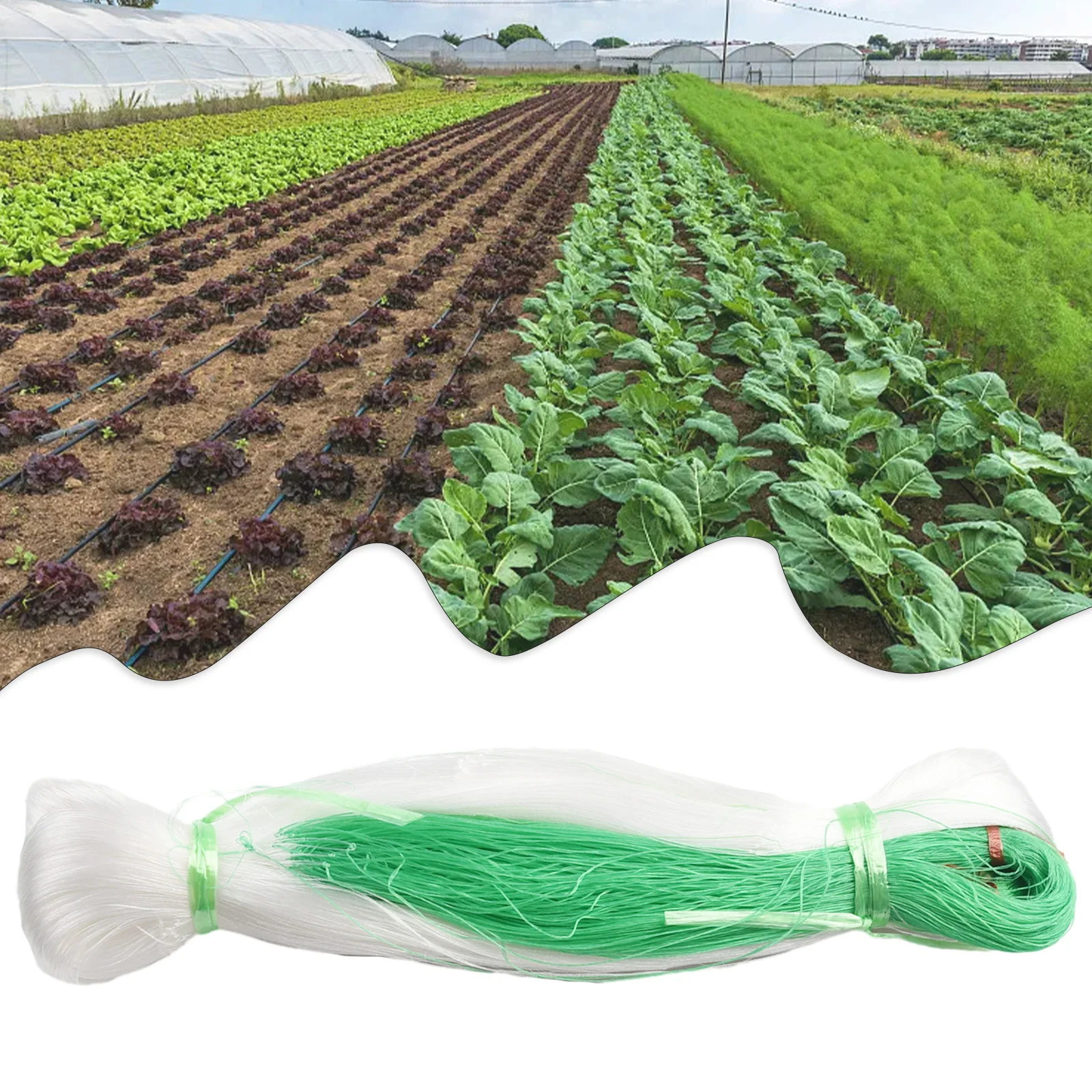 Cucumber Mesh Net 2M X 100M For Plant Support Climbing Multi Use Net Garden Fruit Plant Support Nets Tools Mesh Size 25*25cm
Cucumber Mesh Net 2M X 100M For Plant Support Climbing Multi Use Net Garden Fruit Plant Support Nets Tools Mesh Size 25*25cm