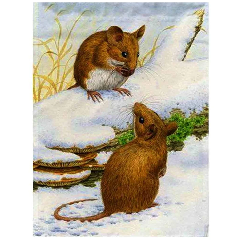 HOT SALE Diamond Painting Full Circle Diamond Kit Rhinestone Picture Art Craft Home Door Decoration (2 Cute Rats)
HOT SALE Diamond Painting Full Circle Diamond Kit Rhinestone Picture Art Craft Home Door Decoration (2 Cute Rats)