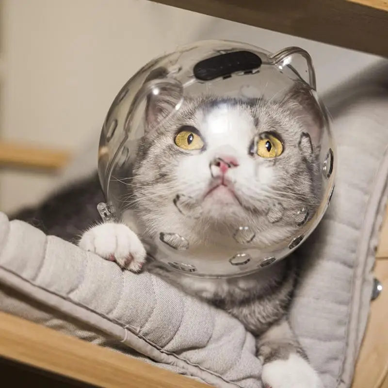 Кошачий намордник, пузырьки для ушей, котенок, дышащий защитный чехол для защиты от укусов, защита головы, товары для ухода, инструменты для купания и бритья
Кошачий намордник, пузырьки для ушей, котенок, дышащий защитный чехол для защиты от укусов, защита головы, товары для ухода, инструменты для купания и бритья