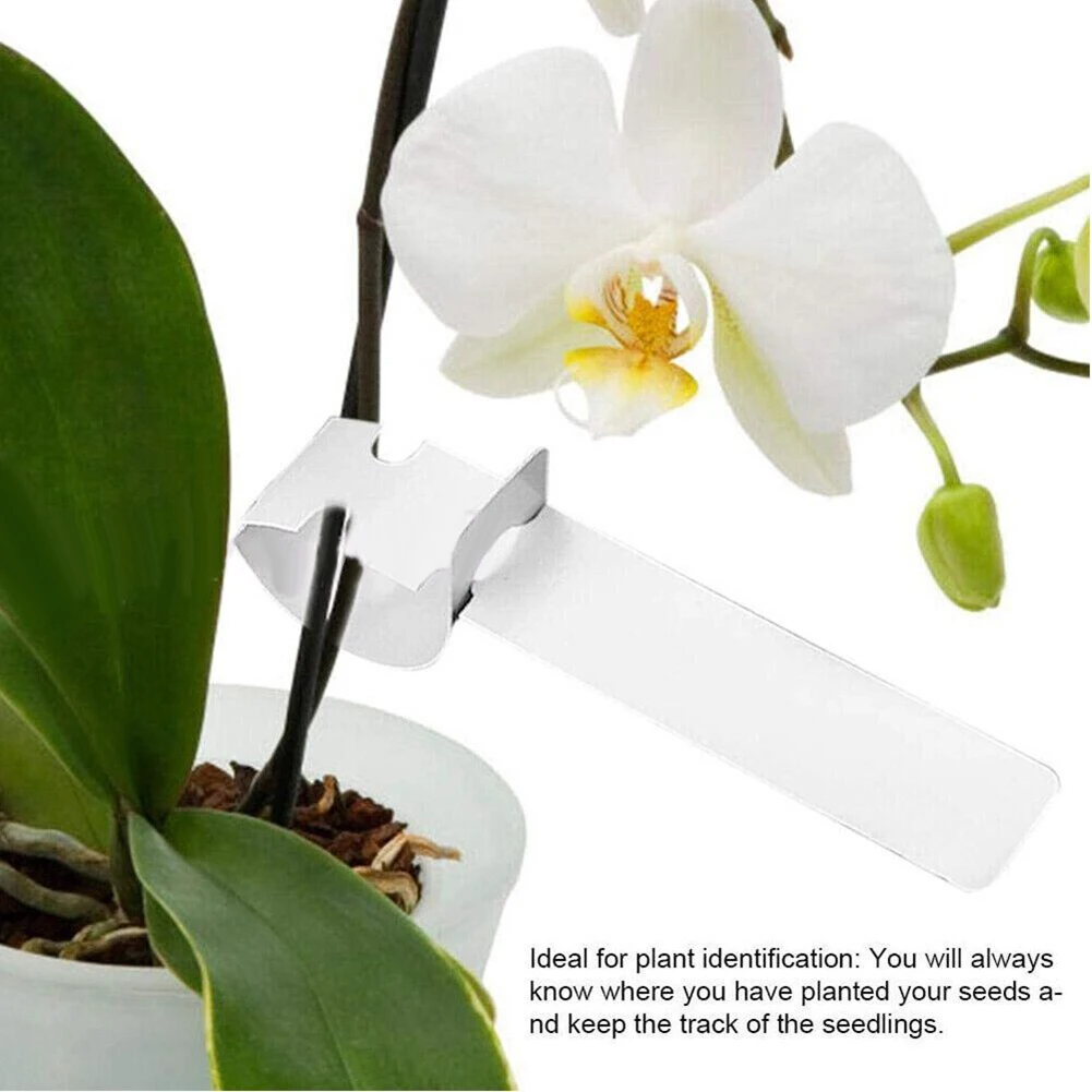 Tags Plant Labels Waterproof White 200pcs Bonsai Flower Home Marker Nursey PVC Plastic Plate Garden High Quality
Tags Plant Labels Waterproof White 200pcs Bonsai Flower Home Marker Nursey PVC Plastic Plate Garden High Quality