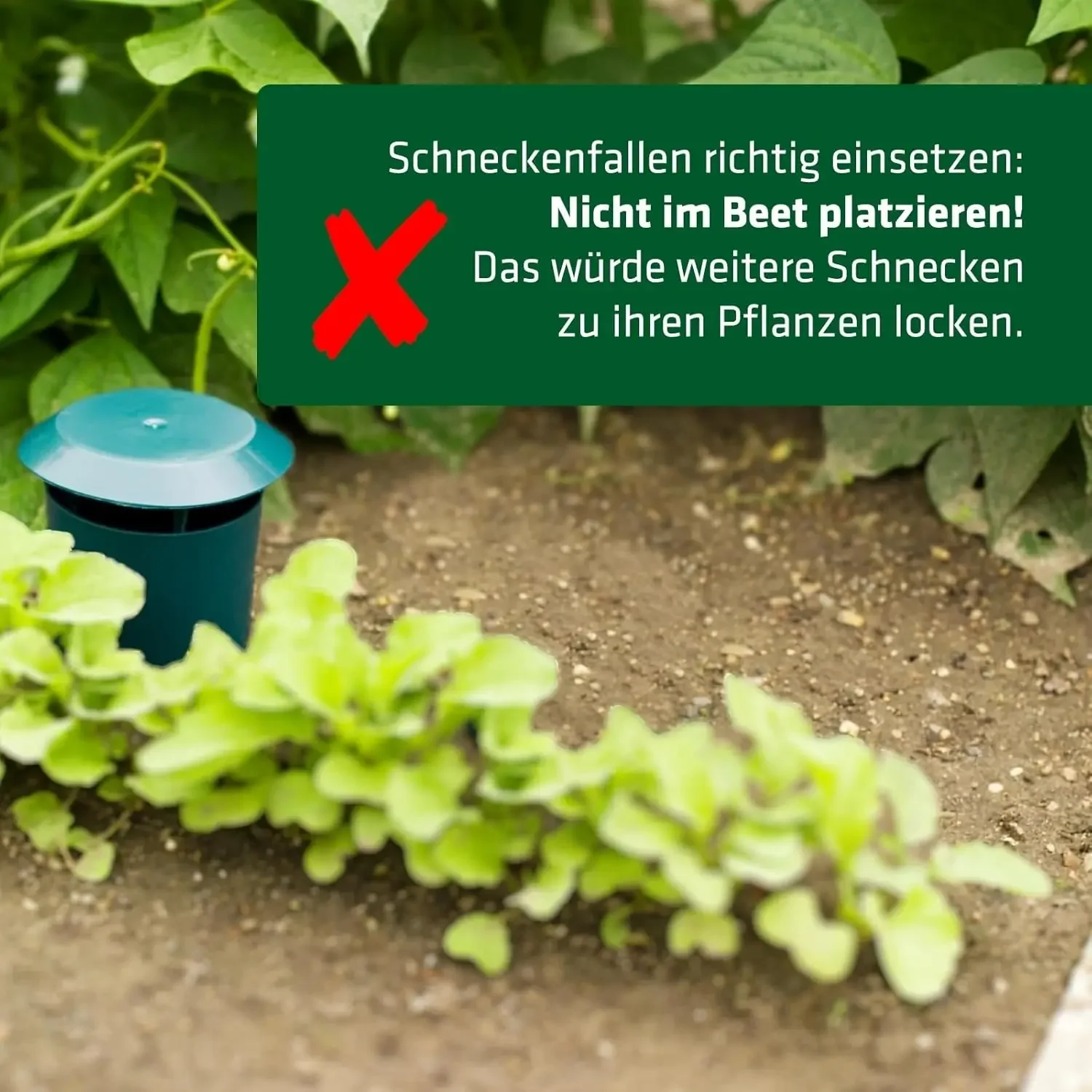 Reusable Snail & Slug Trap S5292c248fd434fa5ac122ac9c1831ac3E