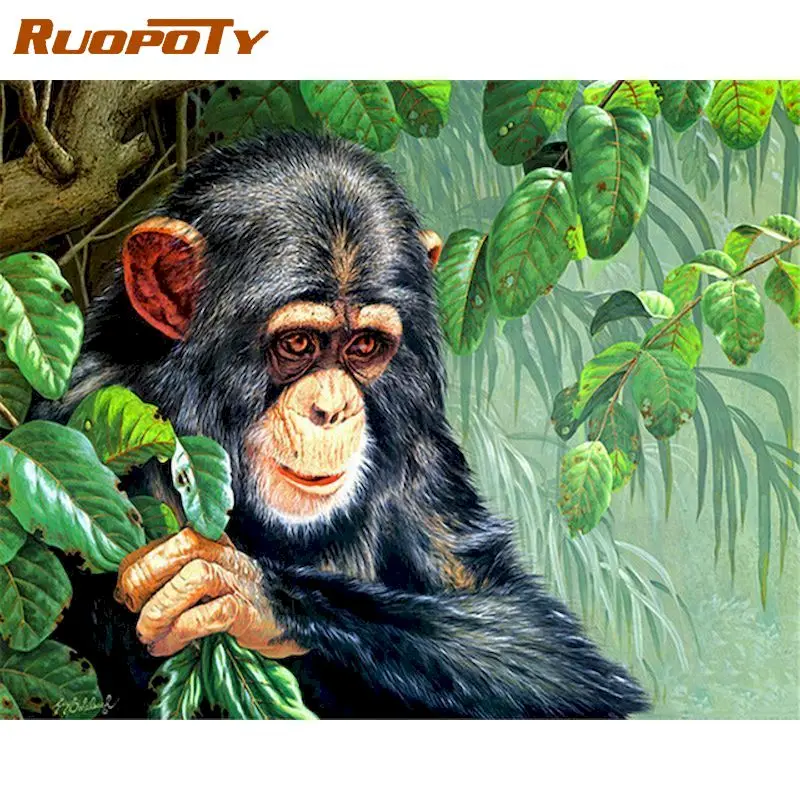 RUOPOTY Oil Picture By Numbers Monkey Animal Painting Kits HandPainted 40x50cm Frame Acrylic Paint Drawing On Canvas Wall Arts
RUOPOTY Oil Picture By Numbers Monkey Animal Painting Kits HandPainted 40x50cm Frame Acrylic Paint Drawing On Canvas Wall Arts