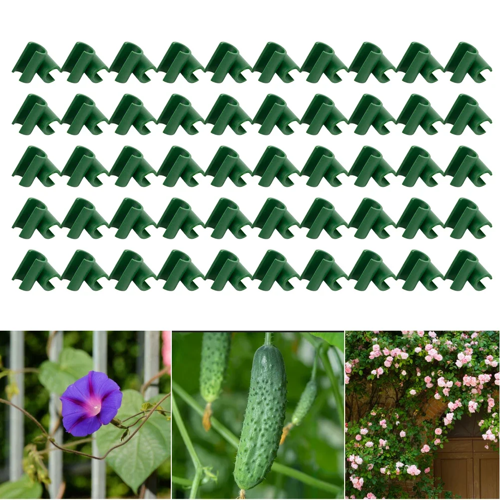 Plant Buckle 50pcs Connectors For 8mm Diameter Stakes For Orchards For Tomatoes Sun Protection Pole Connectors
Plant Buckle 50pcs Connectors For 8mm Diameter Stakes For Orchards For Tomatoes Sun Protection Pole Connectors
