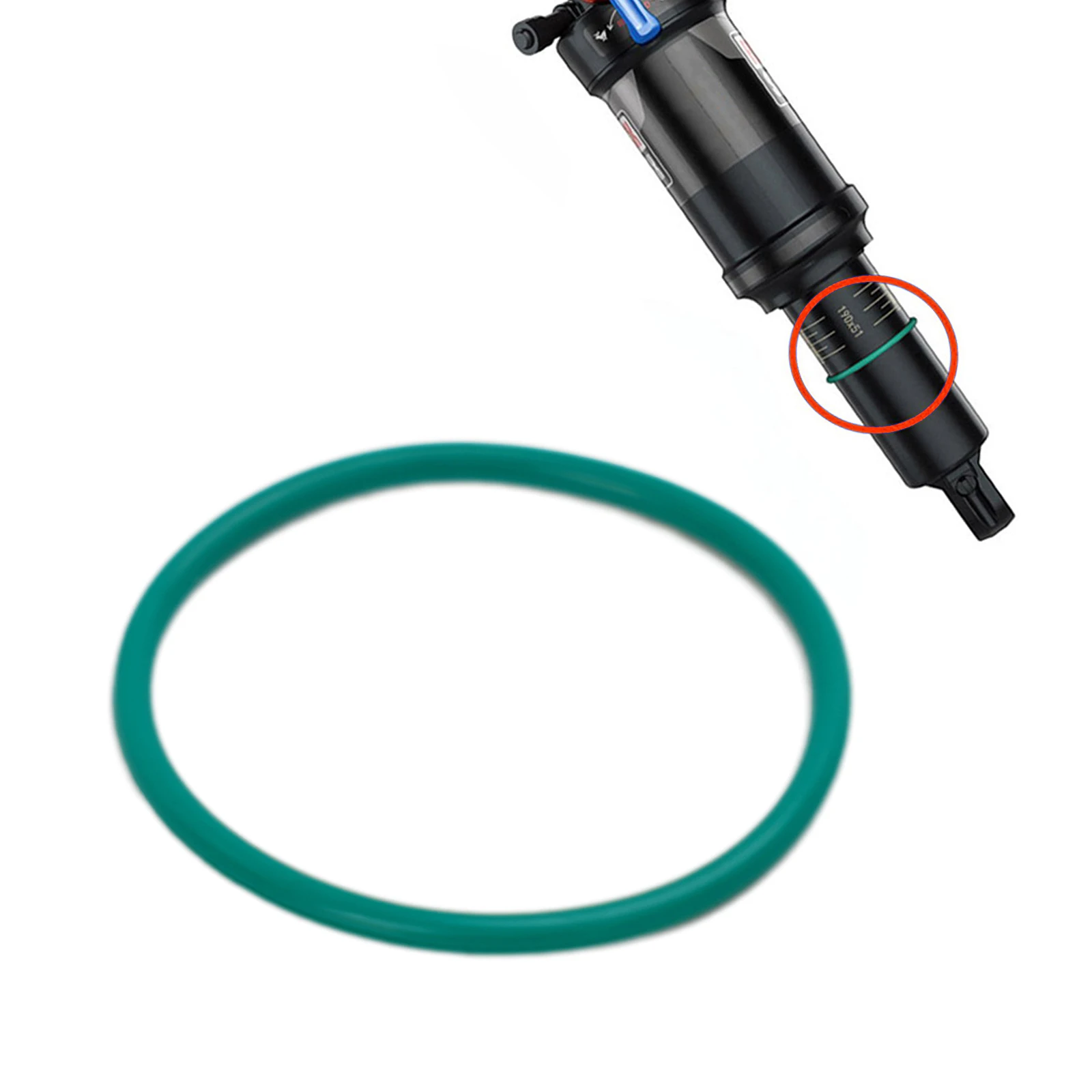Durable New O-Ring Seal O Ring Seal Travel Slider 1pc Bicycle Parts Bike Accessories For Fox Rockshox Green ID22mm
Durable New O-Ring Seal O Ring Seal Travel Slider 1pc Bicycle Parts Bike Accessories For Fox Rockshox Green ID22mm