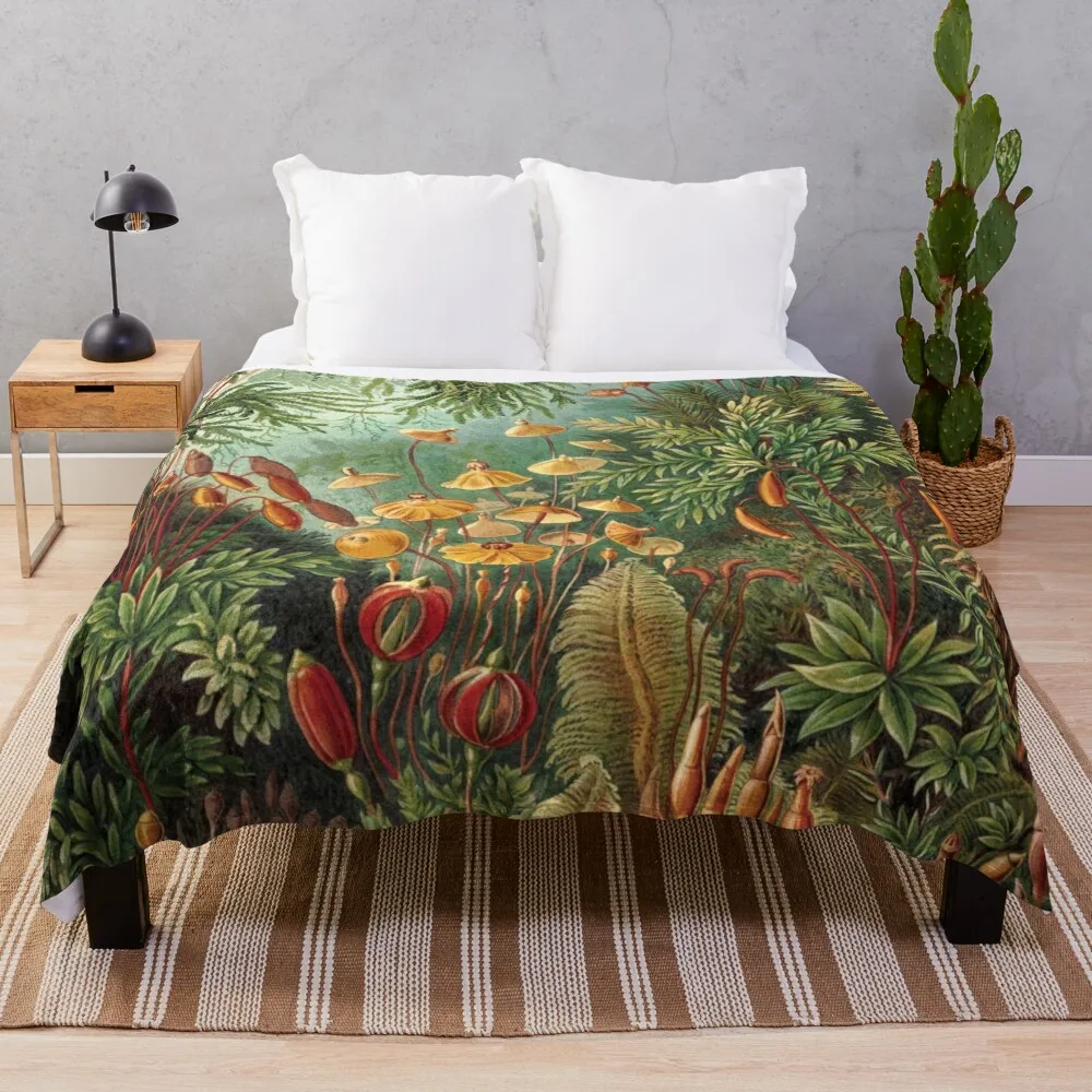 Vintage Plants Decorative Nature Painting Illustration Artwork Throw Blanket Thin for babies Blankets
Vintage Plants Decorative Nature Painting Illustration Artwork Throw Blanket Thin for babies Blankets