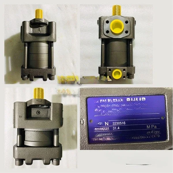 Applicable to Japan Sumitomo Internal Gear Pump QT62-125F-BP-Z Injection Molding Machine Gear Pump in Stock
Applicable to Japan Sumitomo Internal Gear Pump QT62-125F-BP-Z Injection Molding Machine Gear Pump in Stock