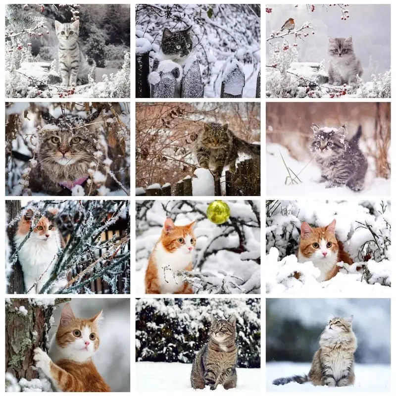 RUOPOTY Painting By Numbers With Frame Cartoon Winter Cats Coloring On Numbers For Adults Paint On Canvas Diy Crafts Wall Decors
RUOPOTY Painting By Numbers With Frame Cartoon Winter Cats Coloring On Numbers For Adults Paint On Canvas Diy Crafts Wall Decors