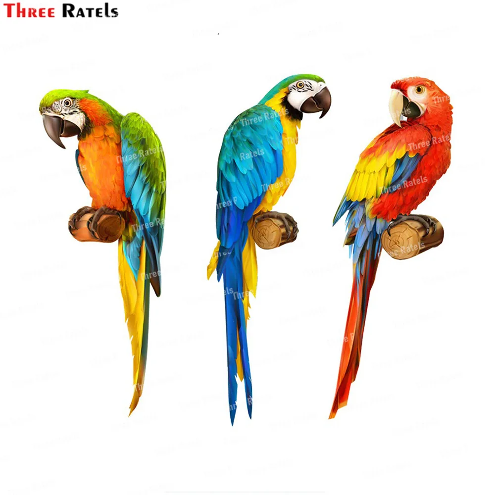 Three Ratels K598 Cartoon Beautiful Bird Colorful Stickers DIY Laptop Luggage Skateboard Suitcase Guitar Graffiti Decal Sticker
Three Ratels K598 Cartoon Beautiful Bird Colorful Stickers DIY Laptop Luggage Skateboard Suitcase Guitar Graffiti Decal Sticker