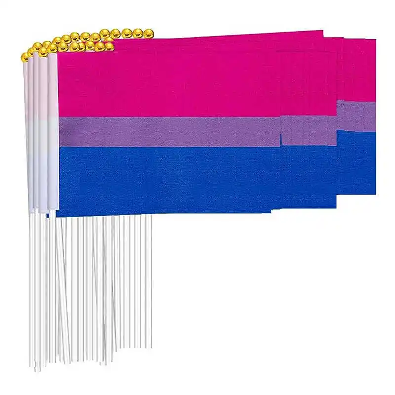 

10 Pack Bisexual Flag Rainbow LGBT Bi Pride Lesbian Gay Transgender 14x21cm LGBTQ Small Stick Flags For Decoration Celebration